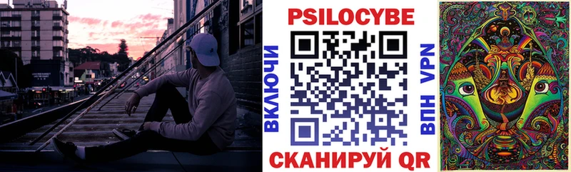 Псилоцибиновые грибы мицелий  купить закладку  Гороховец 